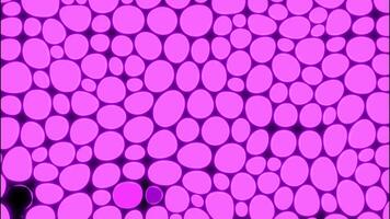 Background with neon flashing circles. Design. Bright neon circles blink on black background. Flashing background with round dots in retro electro pattern video