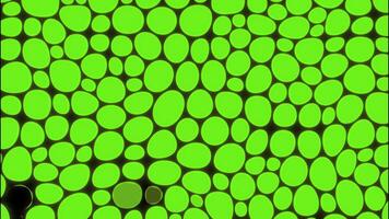 Background with neon flashing circles. Design. Bright neon circles blink on black background. Flashing background with round dots in retro electro pattern video
