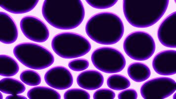 White background and black background with bright spots. Design. Large bubbles that move in different directions in 3D format. video