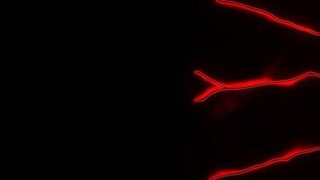 Abstract neon spreading lines looking like veins. Design. Colorful flowing lines on a black background. video
