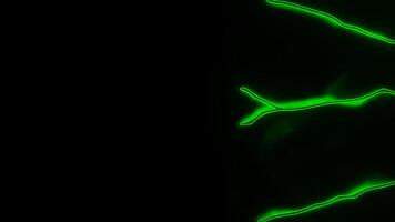 Abstract neon spreading lines looking like veins. Design. Colorful flowing lines on a black background. video