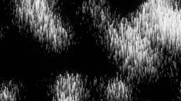 White and green background. Design. Black background with multicolored shiny particles made in abstraction. video