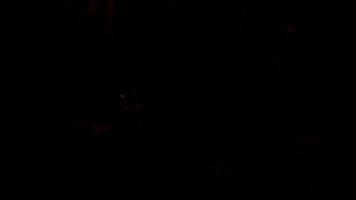 Black background with red backlight. Motion. Glowing backlighting made in abstraction flying in different directions. video
