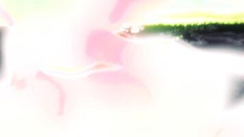 Pink and other multicolored flying fluffy surreal clouds. Motion. Bright fantasy dreams. video