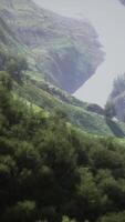 An aerial view of tropical rainforest in the morning misty video