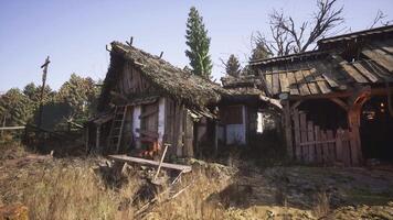 Abandoned cabin in a forest under daylight with natural scenery video
