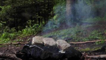 A hand man cooks meat, preparation steaks on a rock in the forest a close-up hike. Bonfire with fire for cooking in the field in nature video