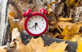 Traditional alarm clock on a background of orange and yellow maple leaves, fall time change concept photo