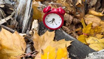 Vintage alarm clock and maple tree leaves on yellow wooden background with bokeh. Autumn season image style photo
