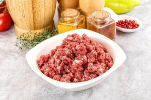 Raw beef minced meat for cooking photo