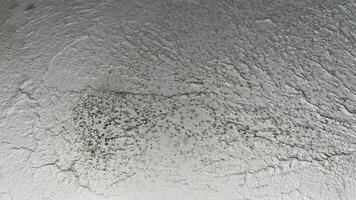 Moldy walls. Old cement wall texture background. Abstract background for design with copy space. photo