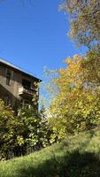A vibrant autumn scene featuring a building surrounded by colorful trees and a clear blue sky. Perfect for design element, or any commercial purposes. photo