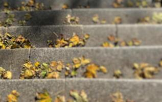 Blurred of the stairs of an old building with autumn leaves. Autumn background perfect for background, design element, or any commercial photo