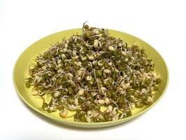 Sprouted mung beans on a plate isolated on a white background photo