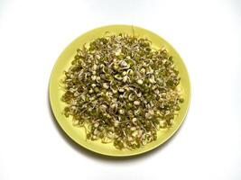 Sprouted mung beans on a plate isolated on a white background photo