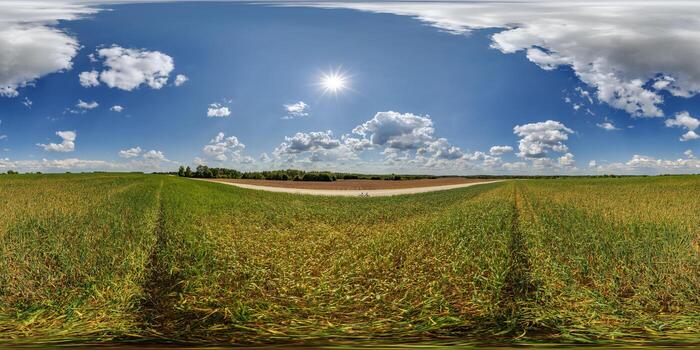 spherical 360 hdri panorama among green farming field with clouds on blue sky in equirectangular seamless projection, use as sky dome replacement, game development as skybox or VR content photo