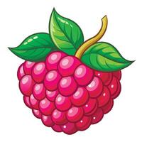 A raspberry fruit with leaves on it vector