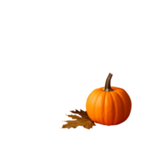 pumpkin with leaf on transparent background png