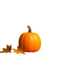 pumpkin and maple leaf on transparent background png