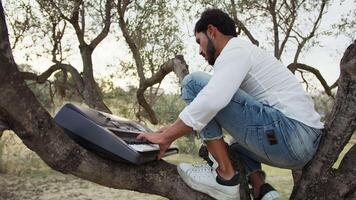 Boy Plays The Musical Keyboard On The Trunk Of A Tree video