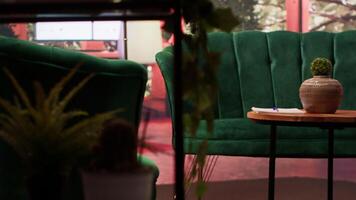Empty modern psychotherapy office equipped with high end furniture and plants, professional comfortable space used for healing clients. Mental health issues counseling session. video