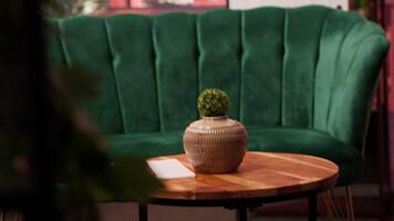 Empty high end psychotherapy cabinet equipped with modern furniture and plants, creating a cozy atmosphere for clients to open up. Professional counseling and psychiatry office. video