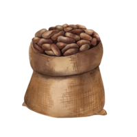 Cocoa beans in burlap watercolor illustration. A hand-painted jute bag with brown grains and seeds for the design of chocolate packaging, cosmetics, and a cafe menu, postcards in a botanical style png