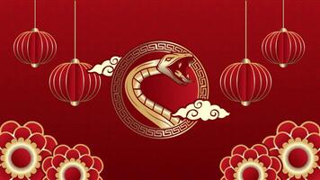 2025 Chinese new year of the snake motion animation with snake symbol inside asian pattern circle, lamp and flowers with copy space area video
