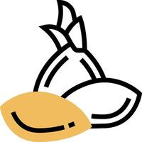 An image of a pair of onions vector