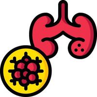 A red kidney and a yellow virus vector