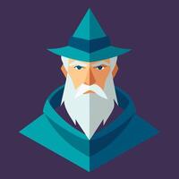 A wizard with a long beard and hat vector
