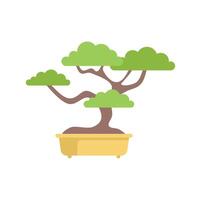 Decorative miniature tree standing in pot growing small branches vector