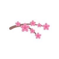 Branch of cherry tree blooming with pink flowers vector