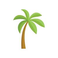 Green palm tree growing in simple cartoon style vector