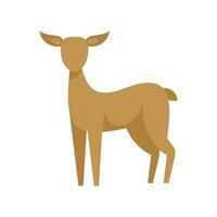 Young deer standing in alert position with head up vector
