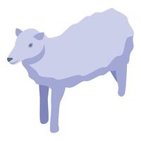 Grazing sheep standing on four legs in isometric view vector