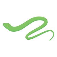 Green mamba snake slithering on white background vector