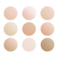 Soft Color Gradient warn Elegance vector