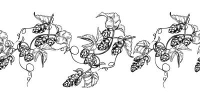 Hop vine, humulus cone black white graphic seamless border isolated. Hop cones branch leaves painted engraving in botanical sketch repeated background for design textile, packaging. Hops liana. vector