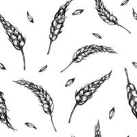 Wheat ear, barley black white seamless pattern isolated. Repeated texture of spikelet of rye, grains monochrome engraving painted by ink for design textile, wrapping paper, packaging, bakery. vector