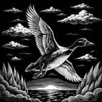 Illustration of a flying white wild duck on a black background vector