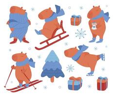 Set of funny capybaras in winter activity. flat illustration of winter characters. vector