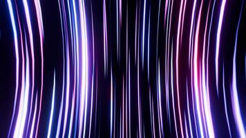 Neon lines flow in a seamless loop. video