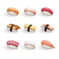 Japanese cuisine collection. Set of various fresh and delicious nigiri sushi. illustration of healthy food for takeout, bar or restaurant menu. vector