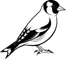 goldfinch bird line art vector