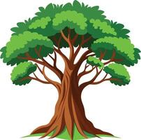 illustration of a banyan tree vector