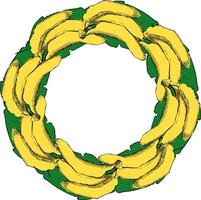 Tropical Fruits circle round frame template. Graphic hand drawn bananas on leaves. illustration. Label Package template. Design element vector