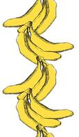 banana seamless pattern vertical border for tropical banner design. Banana background. graphic hand-drawn crayons fruit backdrop. Bananas ornament. vector