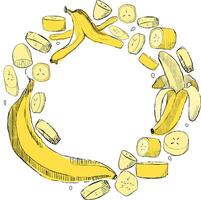 circle frame with banana full and slices. Graphic illustration on a white background. For printing on fabric, for decorating kitchens, dishes, recipes. vector
