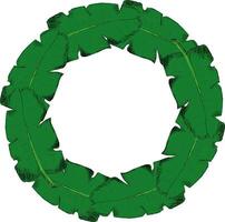 Background round circle frame with stylized graphic banana palm leaves. Image of tropical foliage and plants. vector